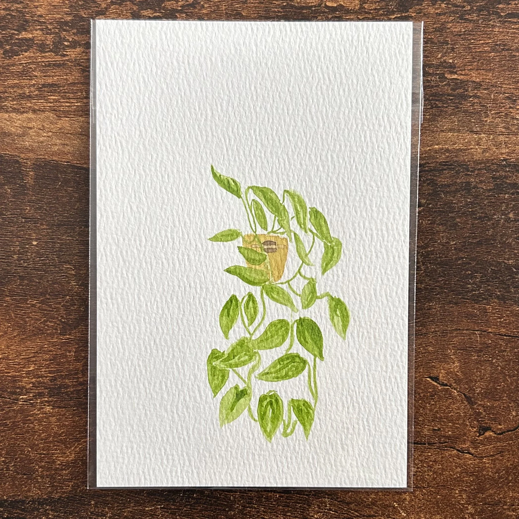 MARRIAGE PLANT - Watercolor Original (4x6)