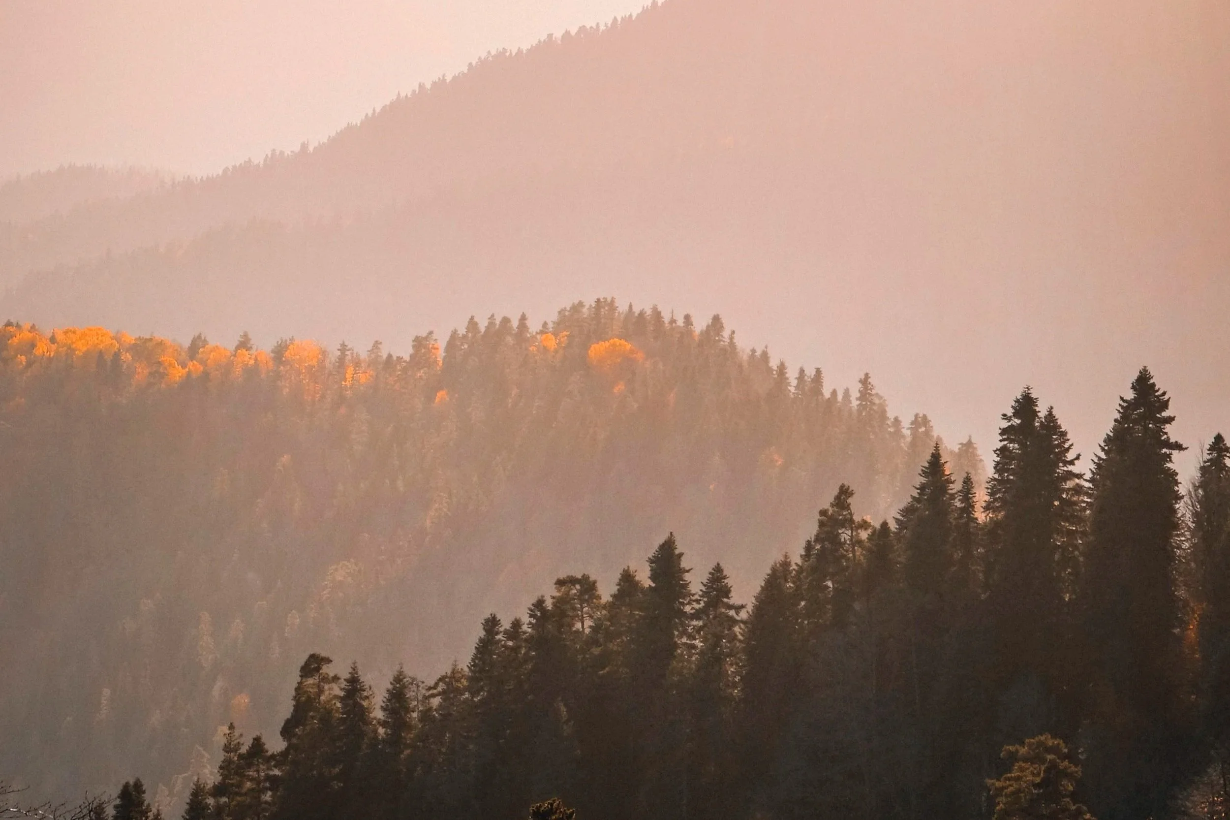 The Business of Health: Building from the Ground Up