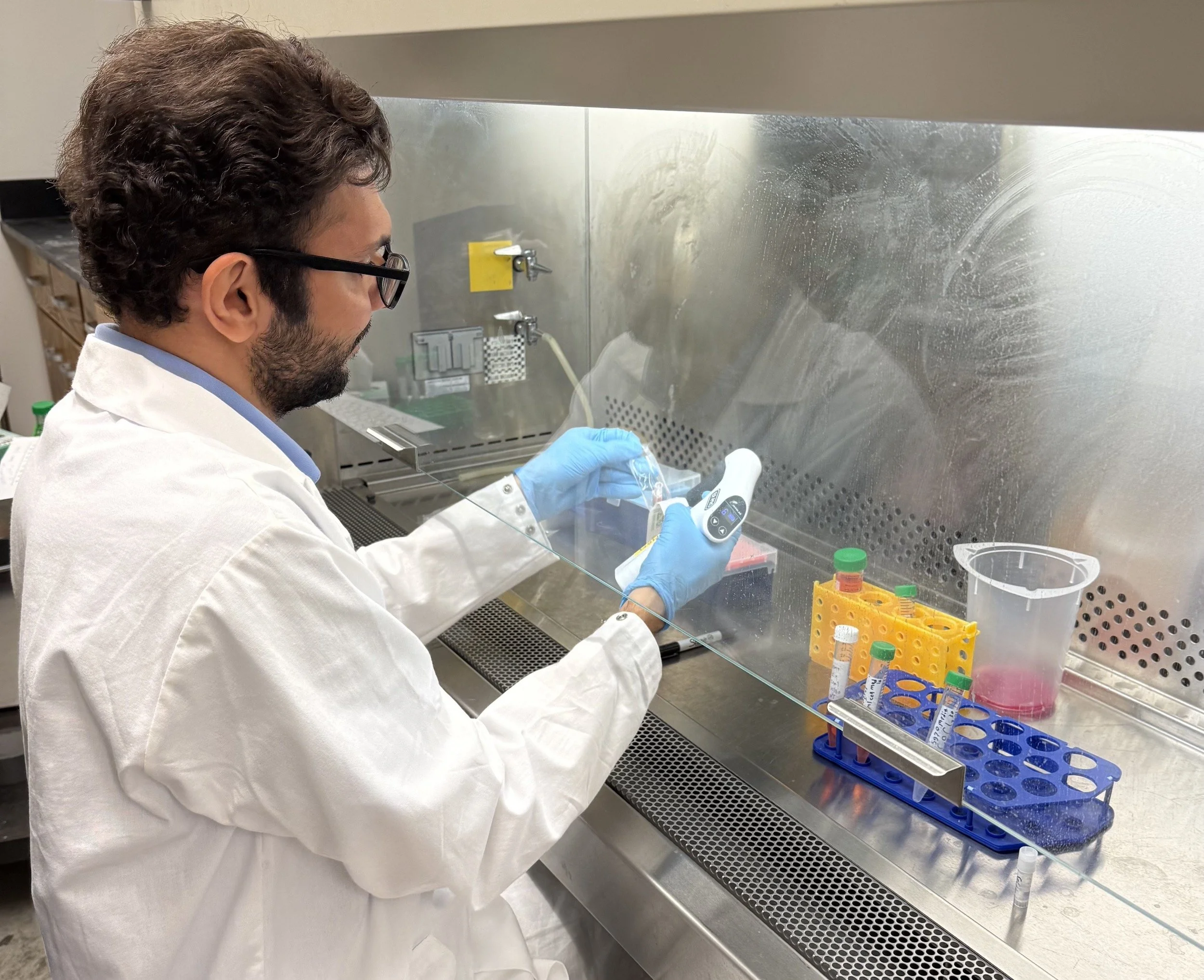 Monroe Biomaterials Lab member conducting research