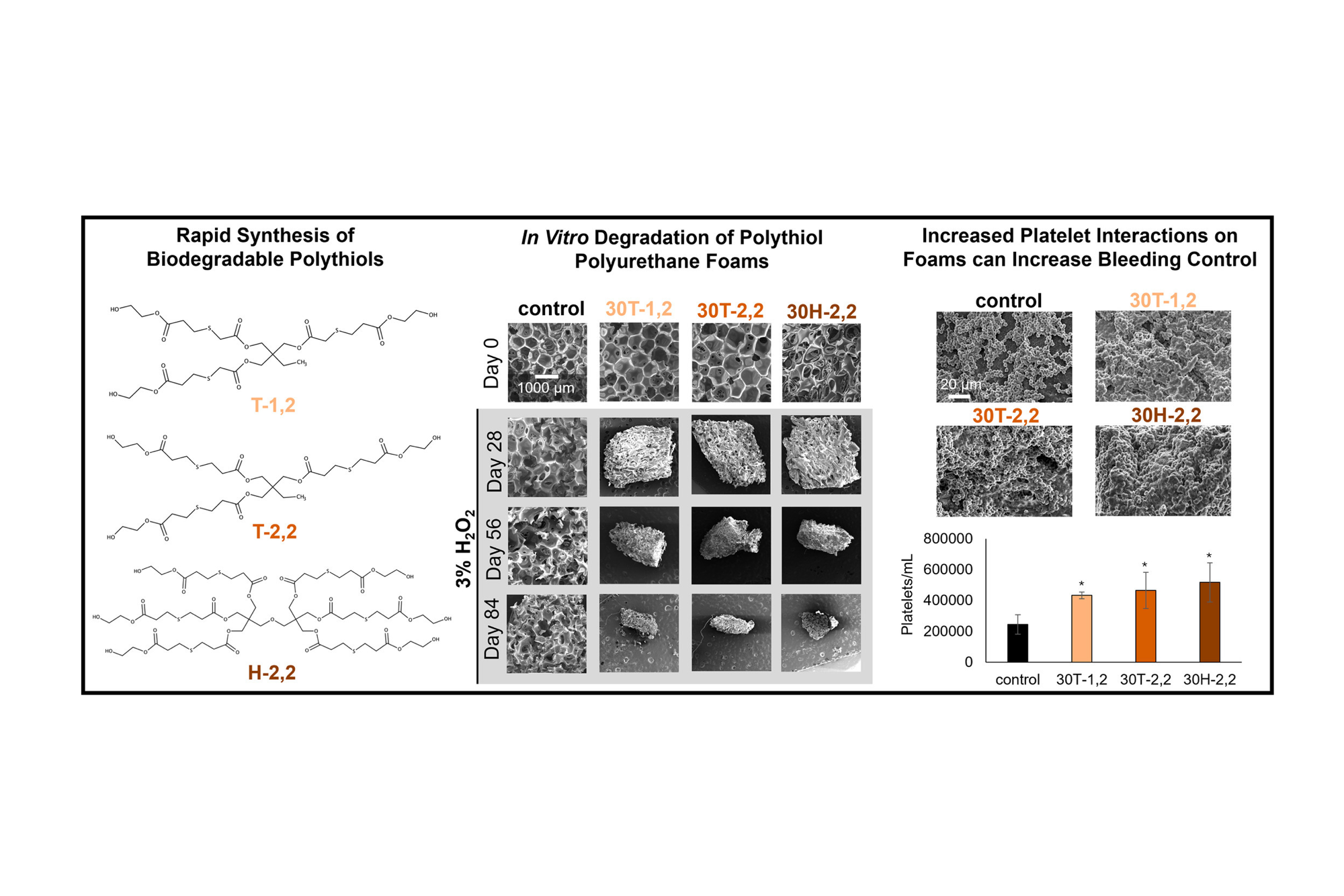 Natalie’s work on degradable shape memory polymer foams is published in Acta Biomaterialia