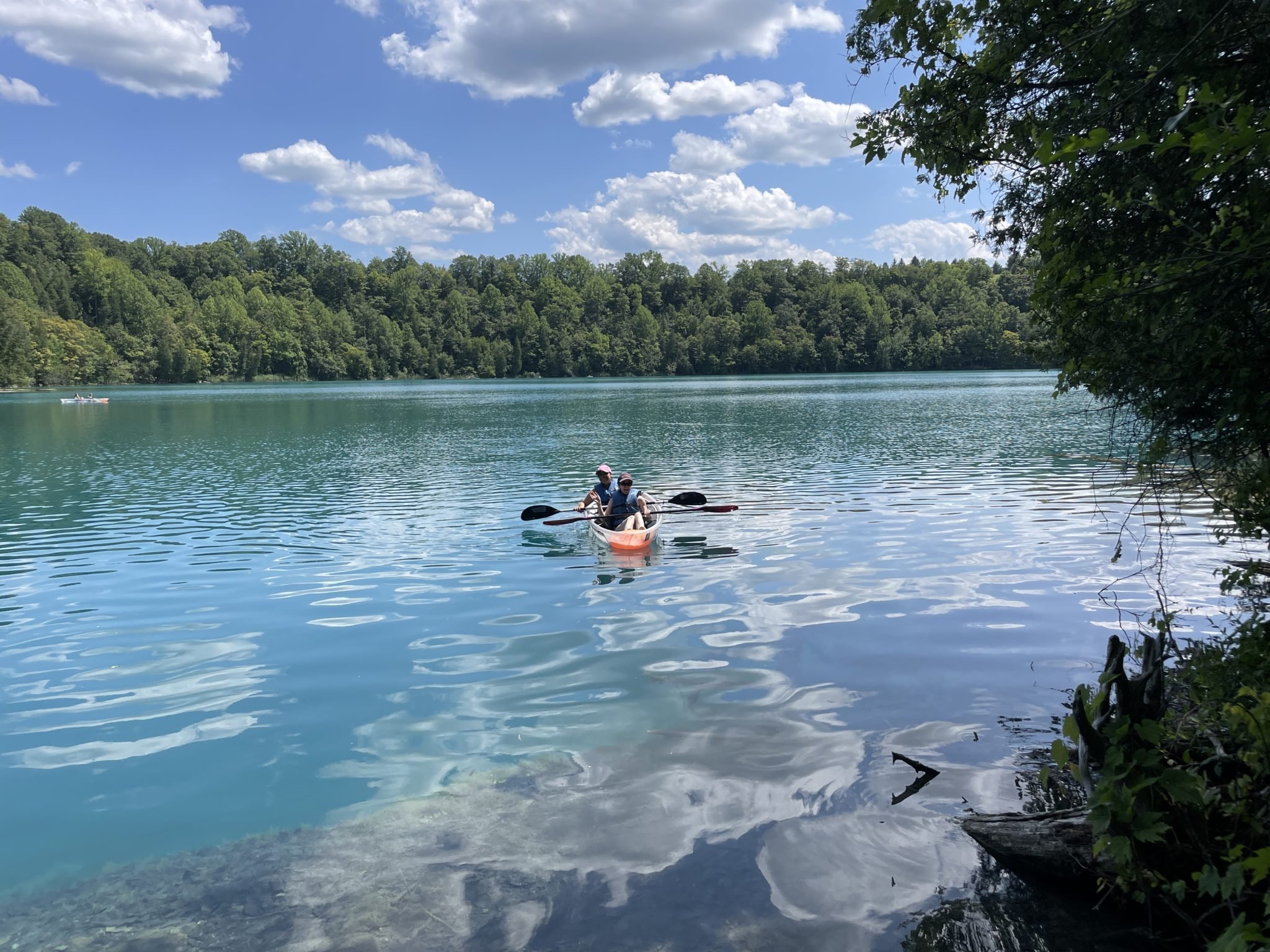 2023 Lab Fun Day at Green Lake State Park