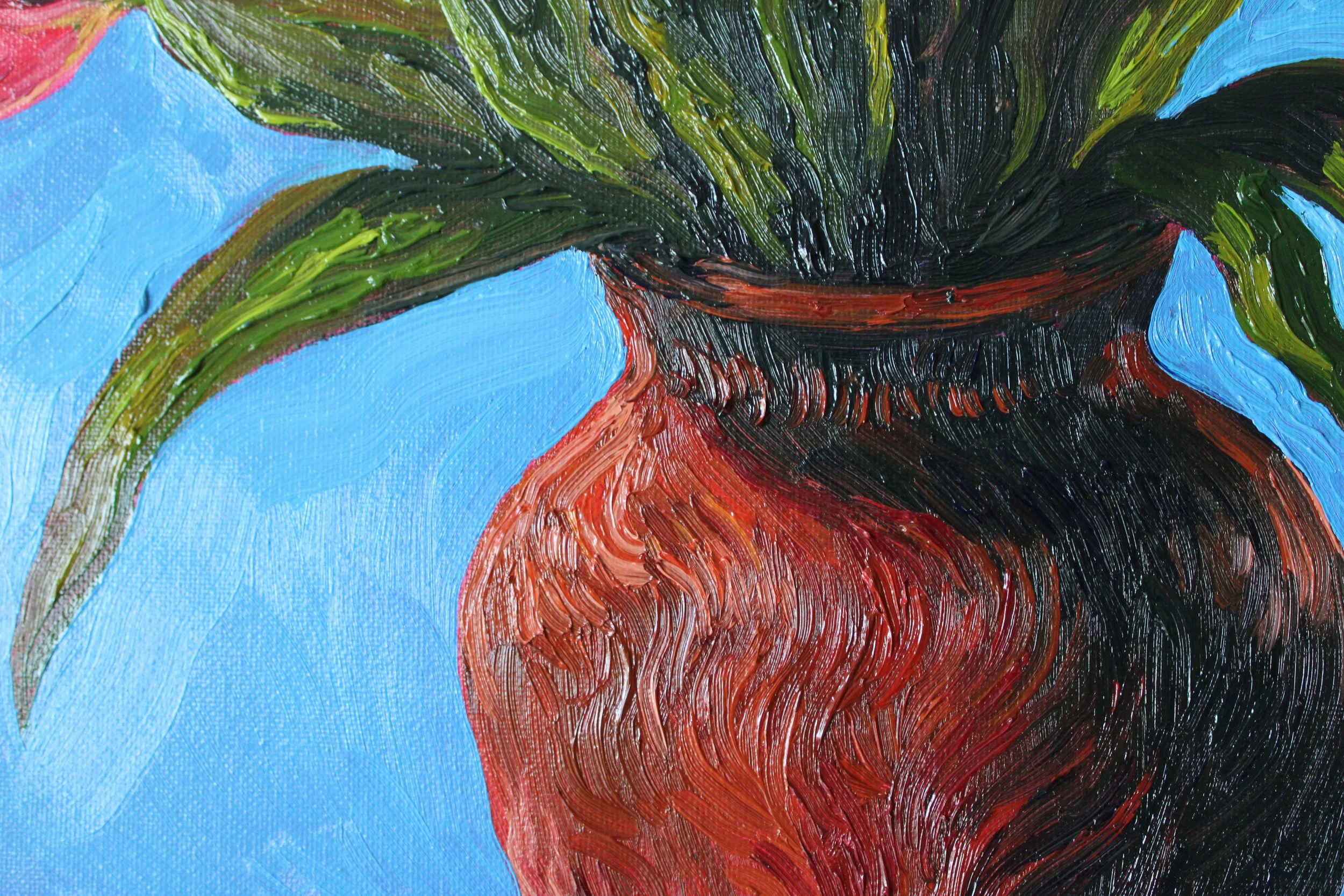 Detail view, emphasizes the texture of the terracotta pot.