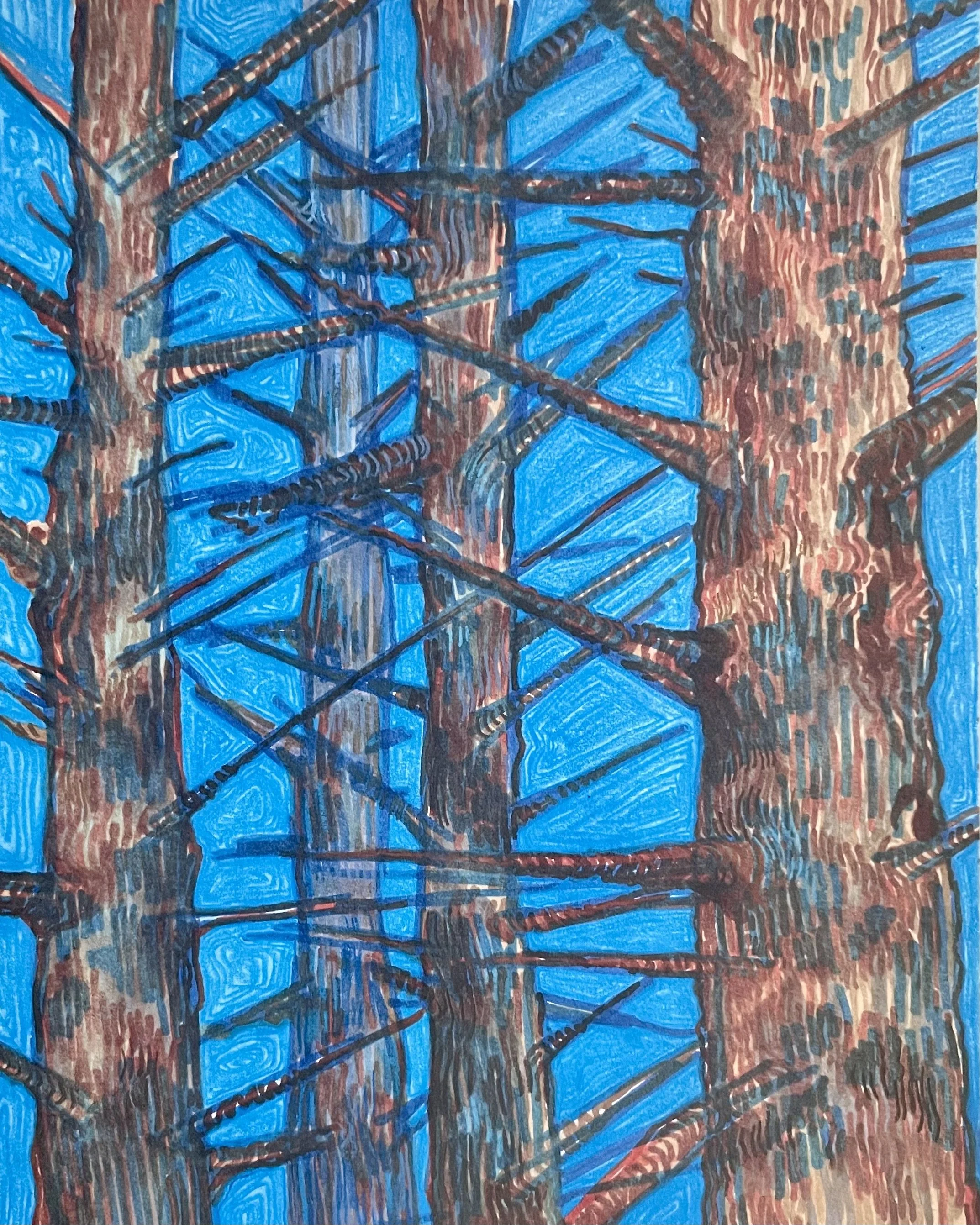 Oregon Pines - Print