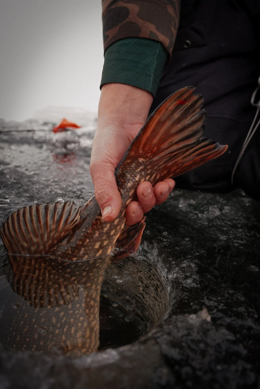 Pickled Fish Made Easy