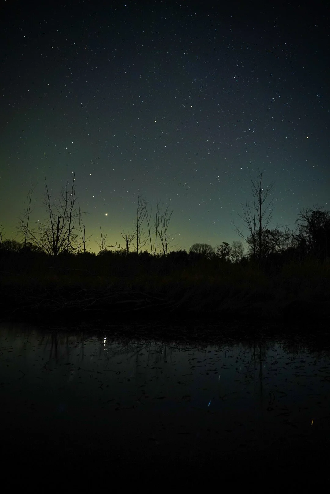 Night sky filled with stars above a silhouette of trees and their reflections in a body of water.