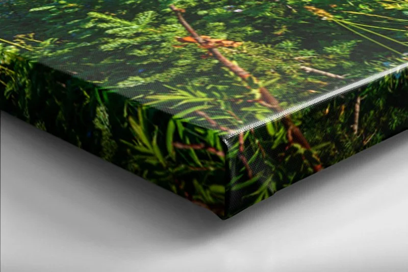 Canvas Gallery Wrap