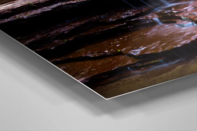 Metal Print