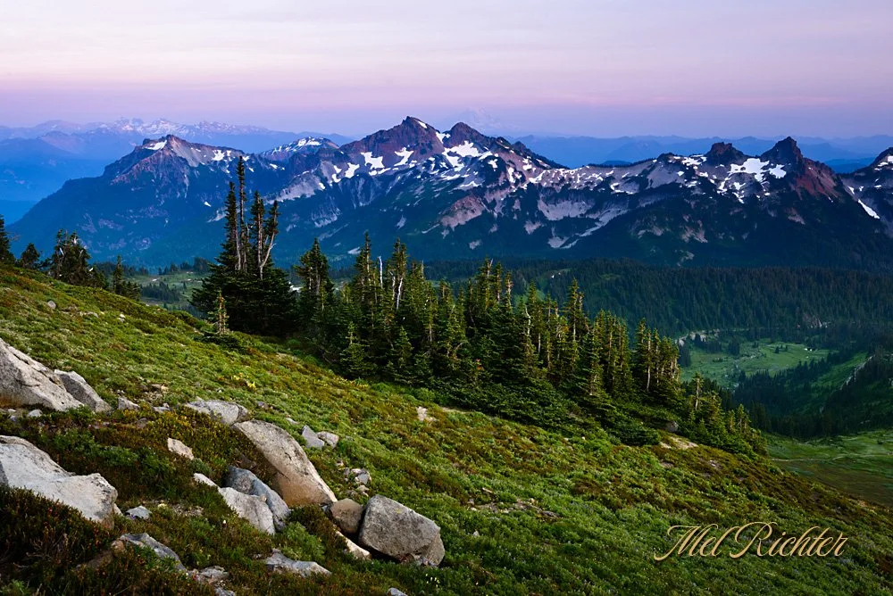 Mt Rainier Foothills