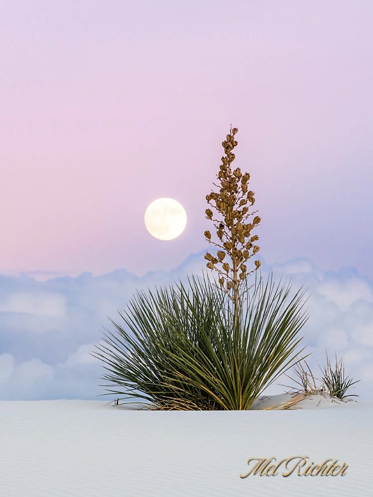 Desert Moonrise - Vertical
