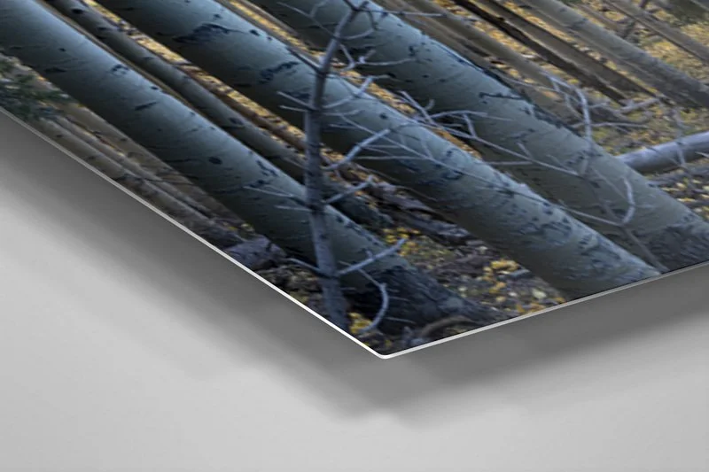 Metal Print