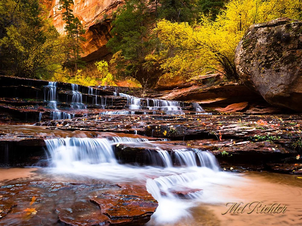Subway Terraces in Autumn – Horizontal