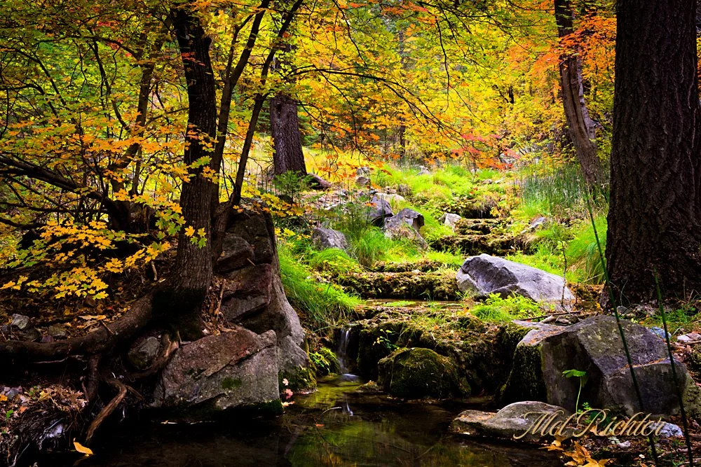 Ramsey Canyon - Horizontal