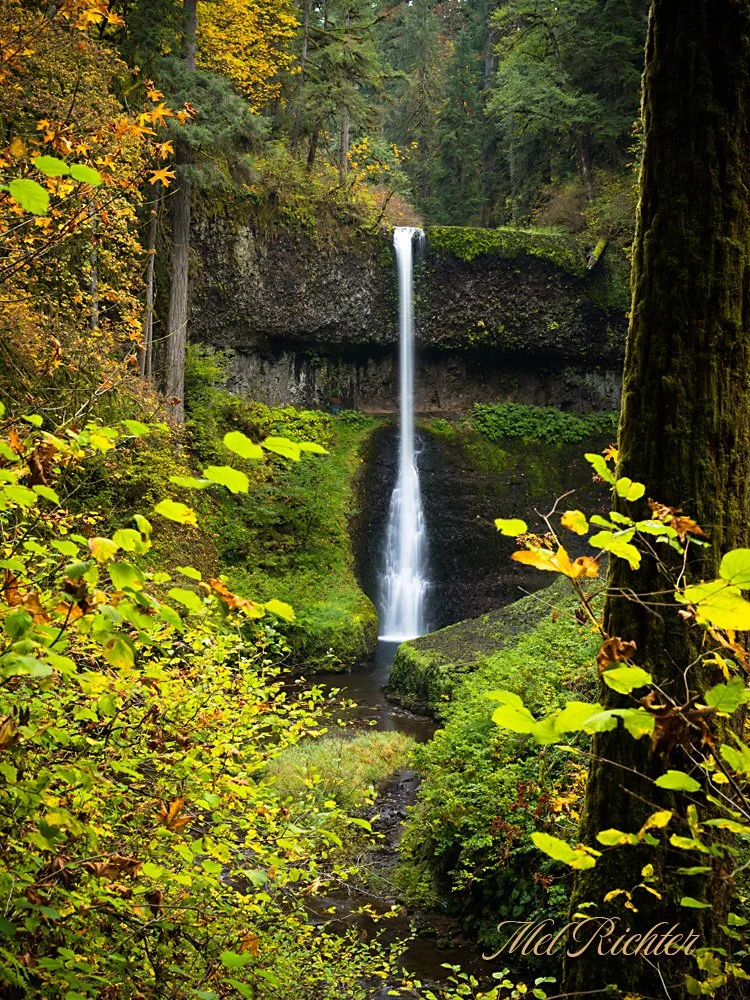Silver Falls