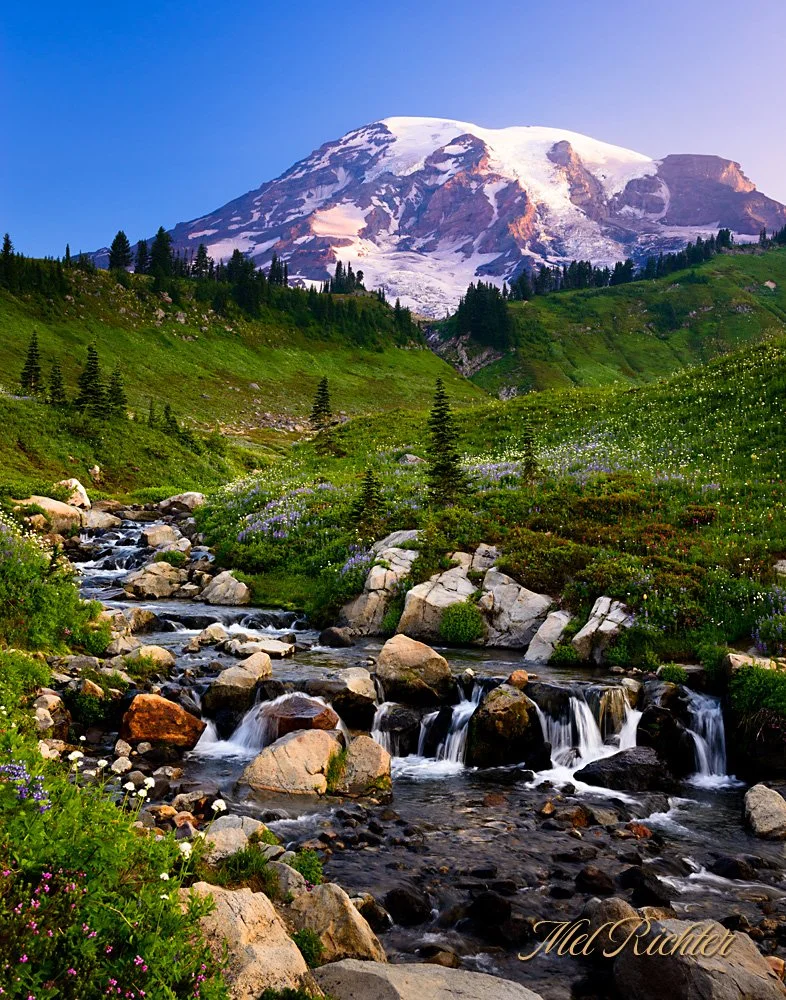 Mount Rainier at Sunrise - Vertical