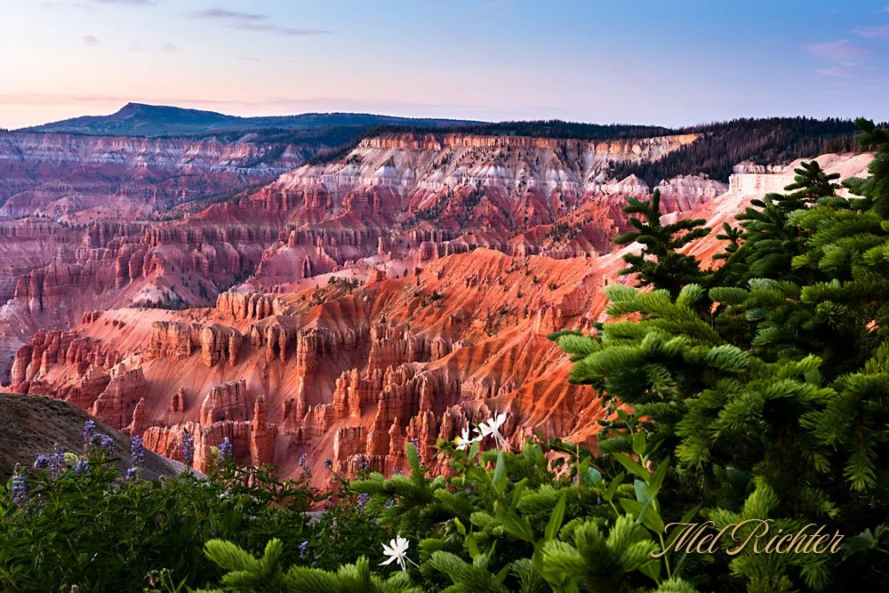 Twilight on Cedar Breaks