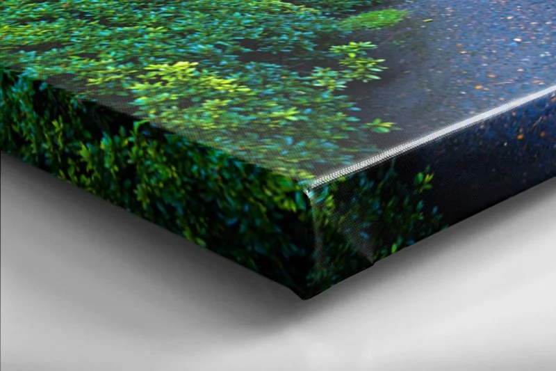 Canvas Gallery Wrap