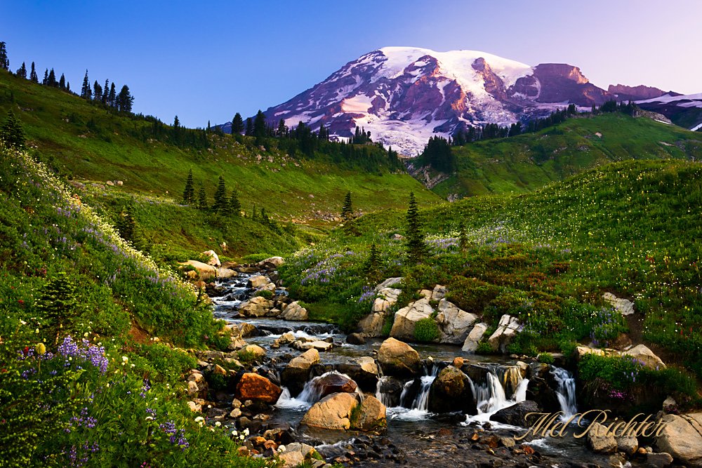 Mount Rainier at Sunrise - Horizontal