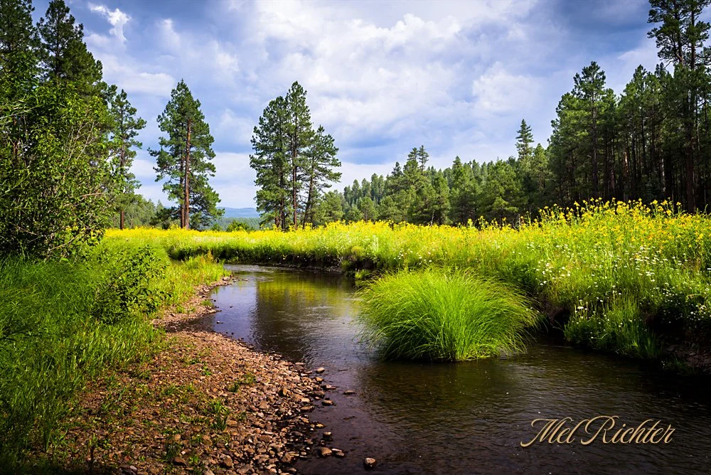 White Mountain Summer - Horizontal