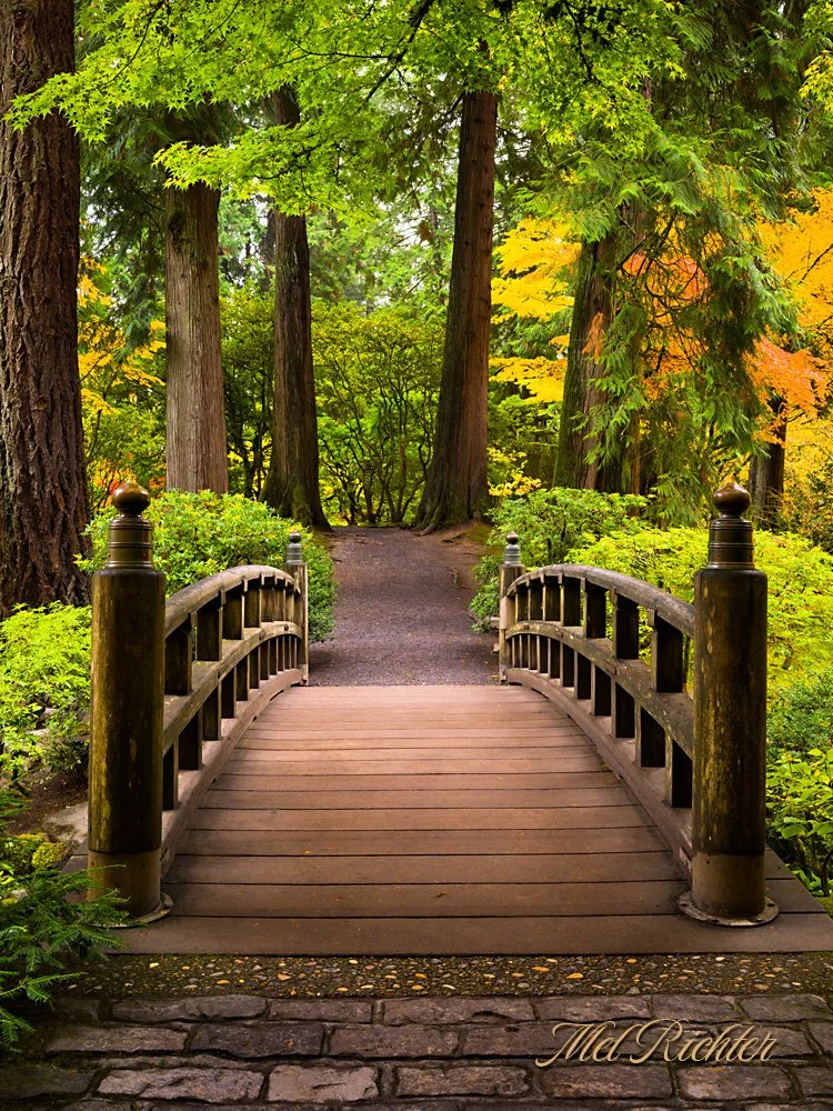 Autumn Crossing - Vertical