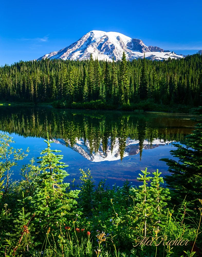 Mount Rainier Reflection