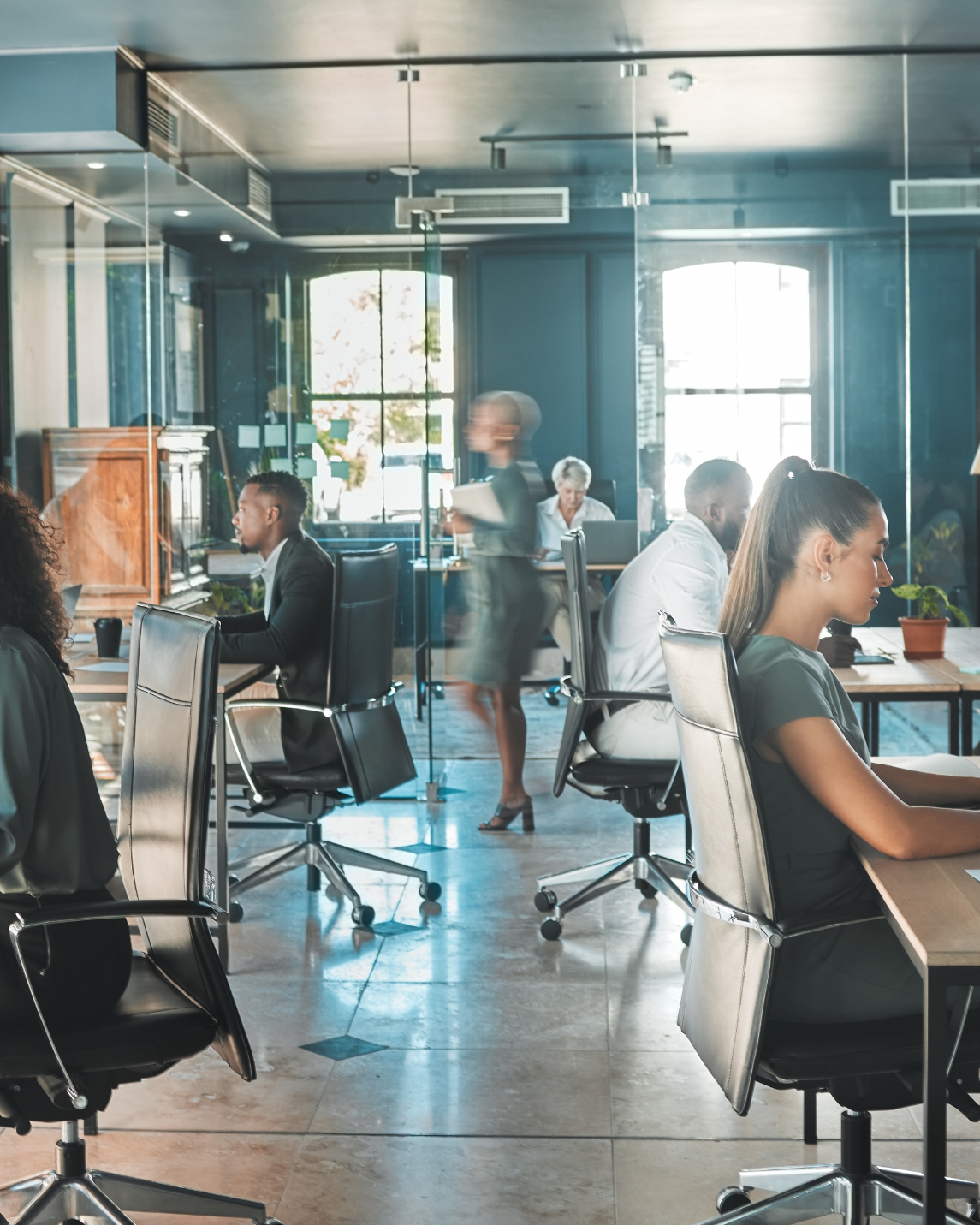 Federal and Government