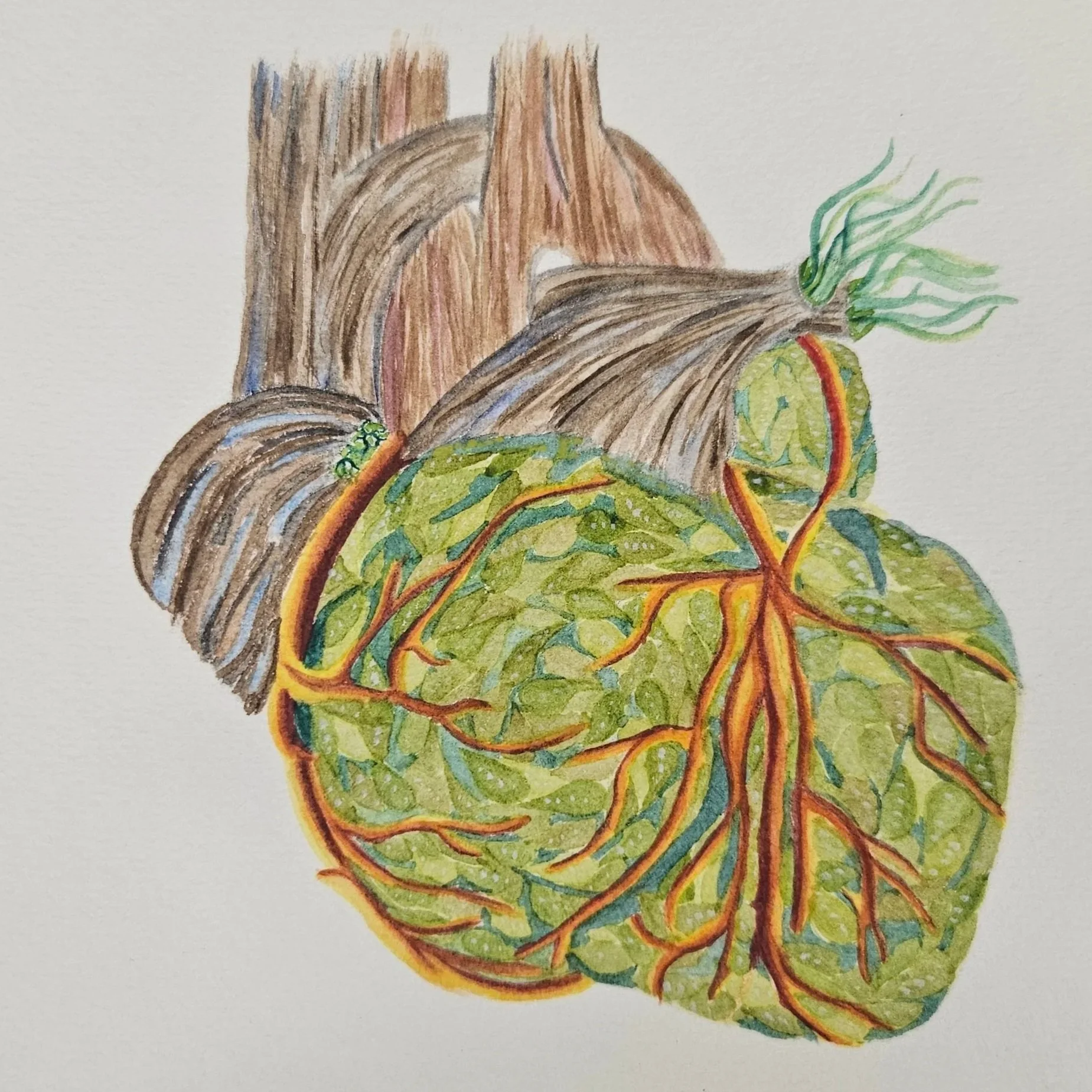 A colorful artistic illustration of a heart with arteries and veins, with a tree growing out of it, featuring branches and leaves.