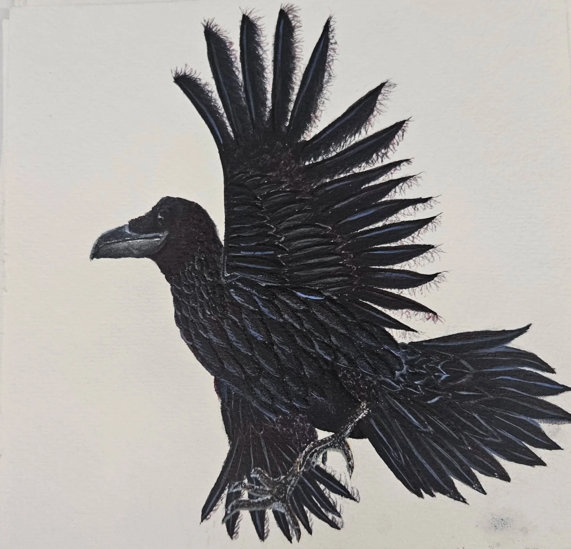 Animalia 2024
Watercolor, 2024
6×6