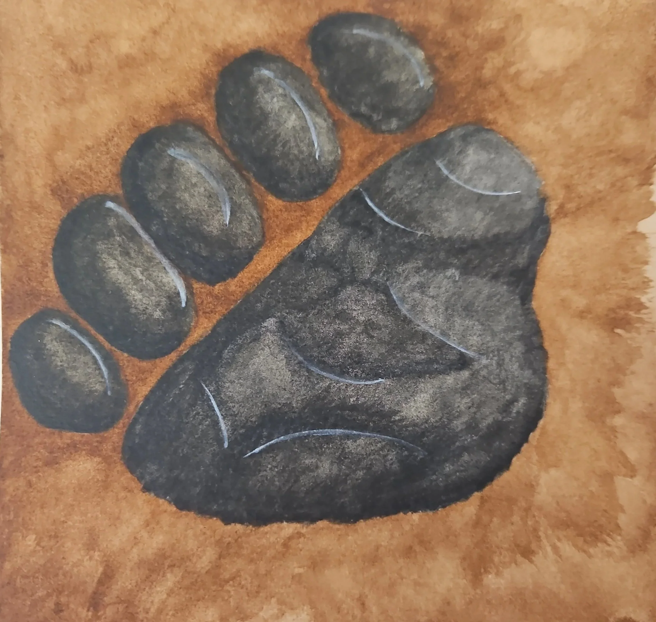 Animalia 2024 - Bear Series
Watercolor, 2024
6×6