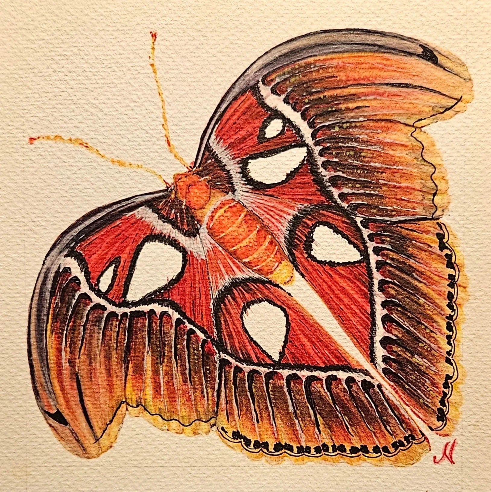Insect 2024 - Moth Series
Watercolor, 2024
6×6