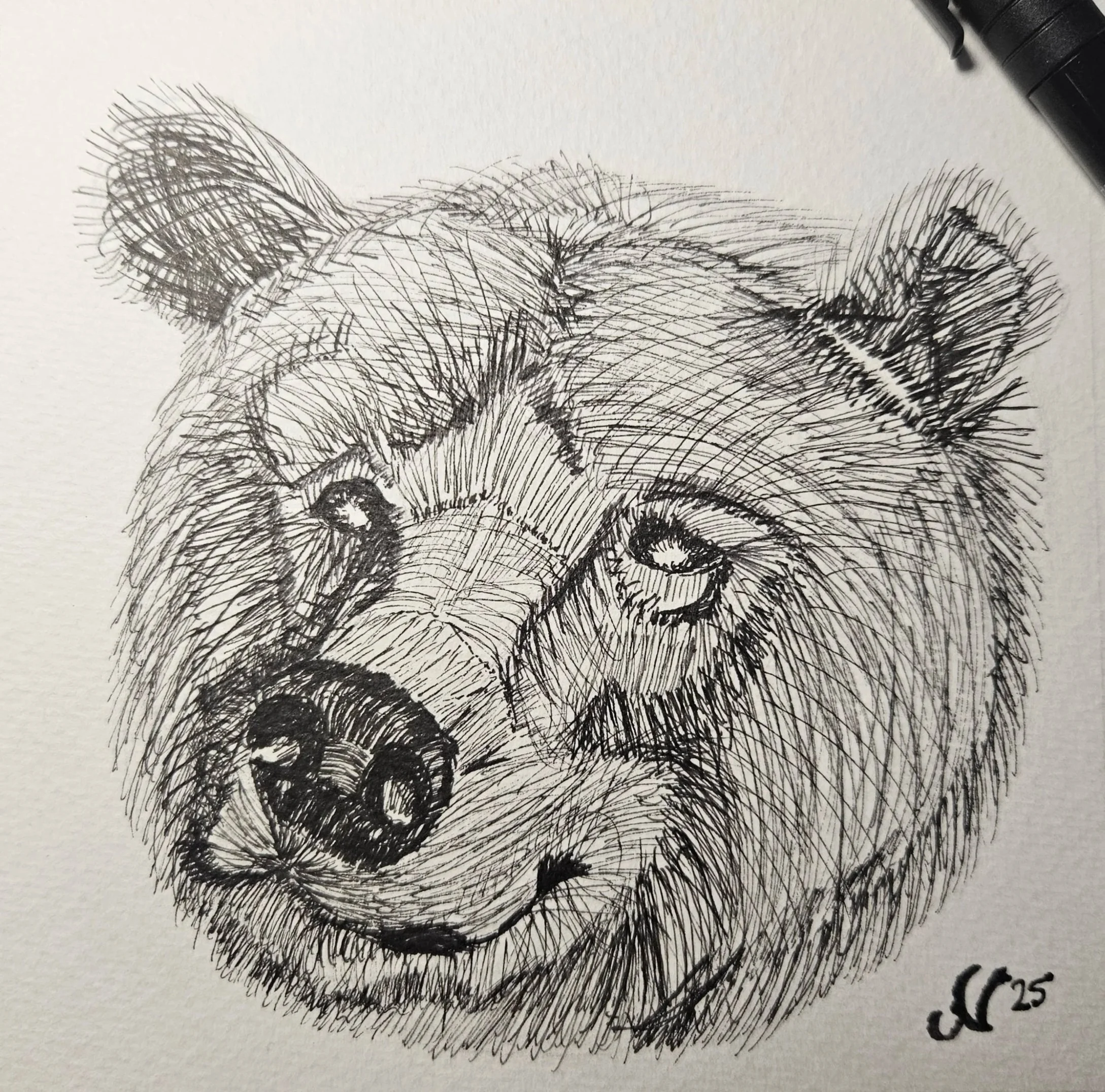 Animalia 2025 - Bear Series
Ink, 2025
6×6