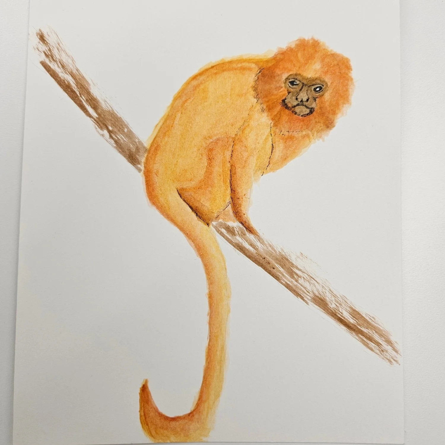 Golden
Ink 2024, 5×7