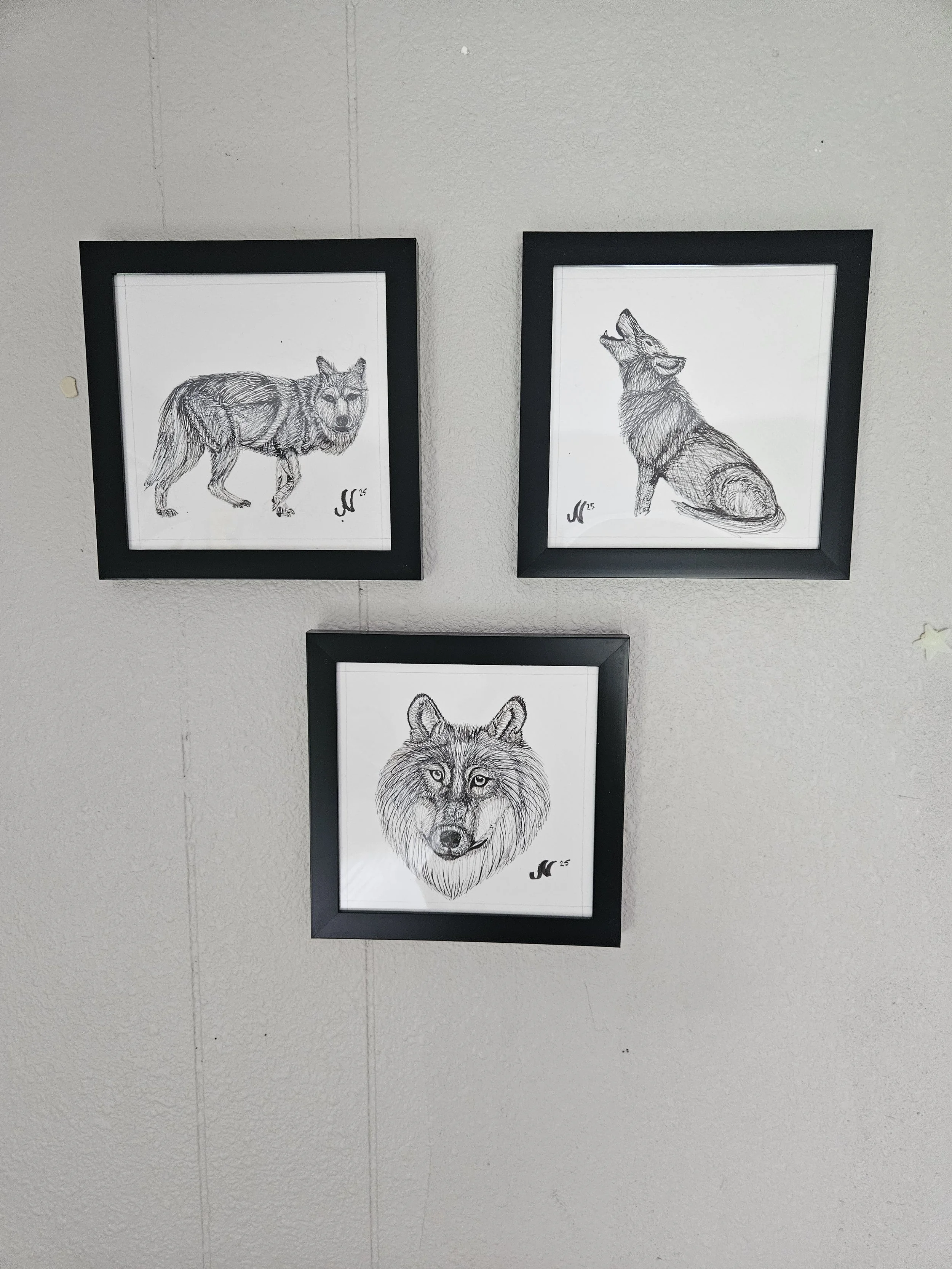 Wolf Series - Gifted