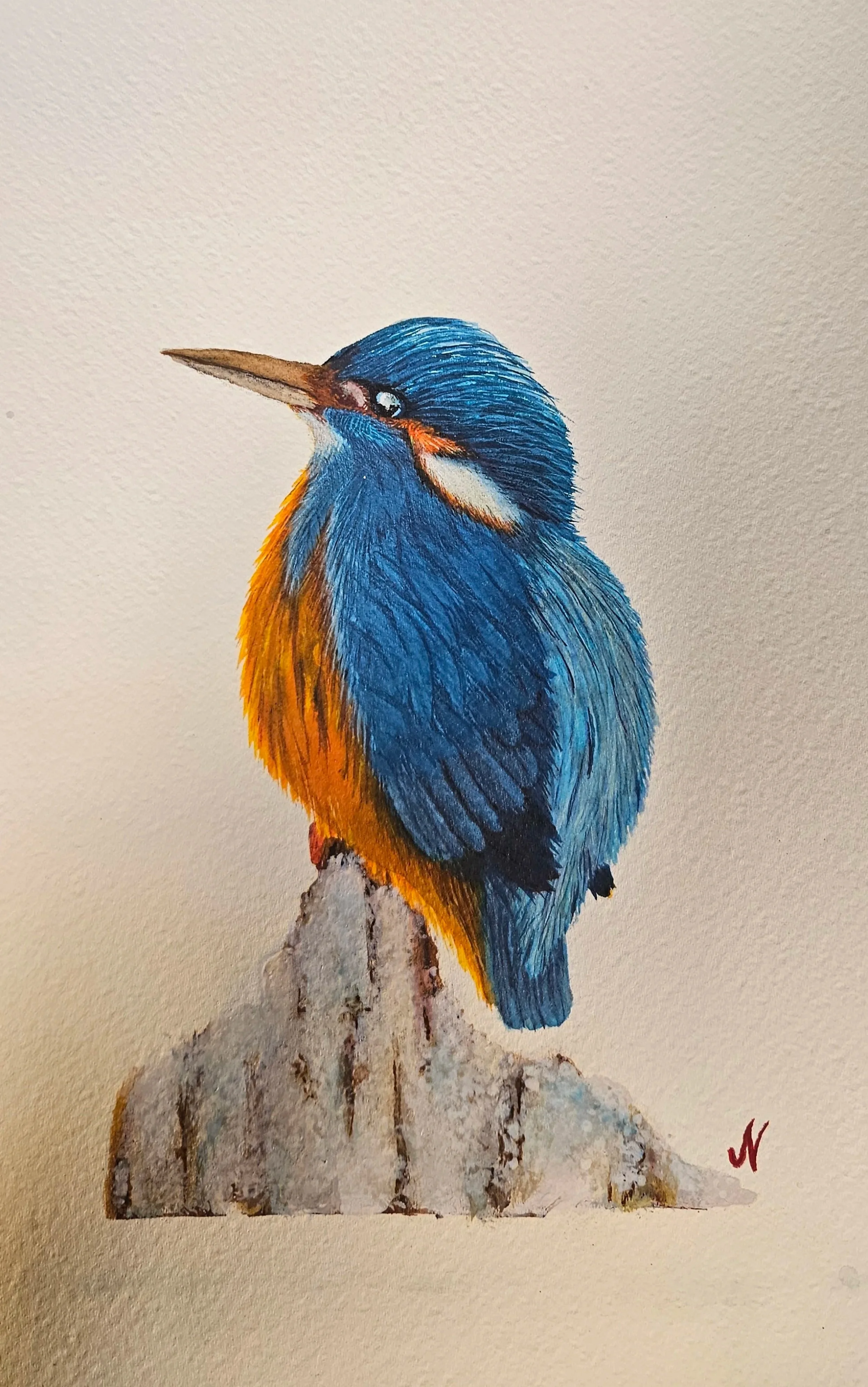 20260119_140658.jpg (Copy)