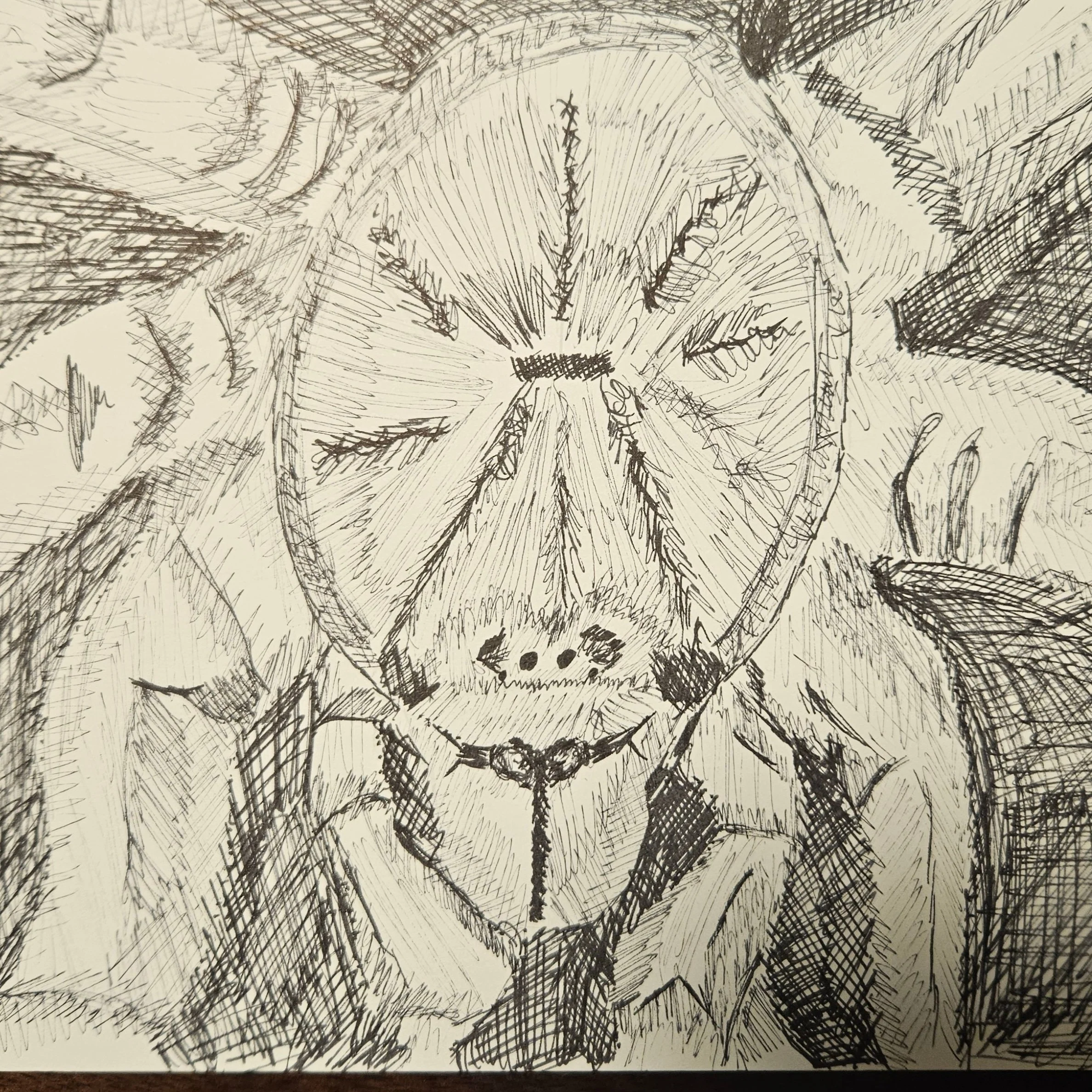 Hairy
Ink 2024, 5×7