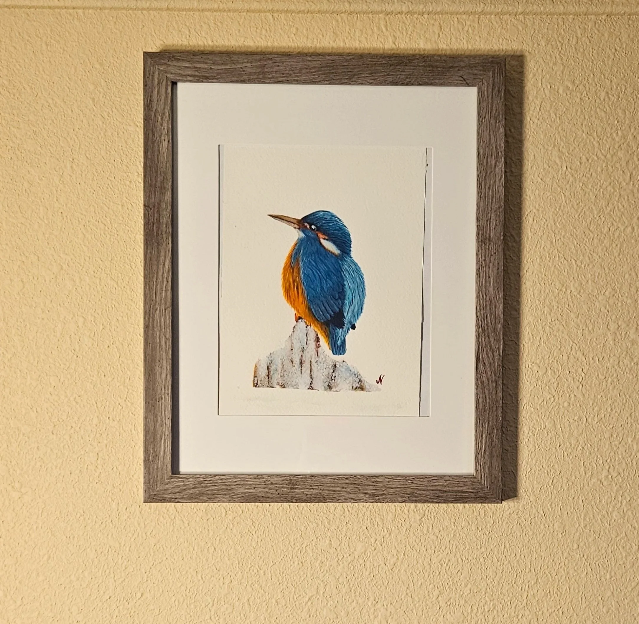 20260119_134906.jpg (Copy)