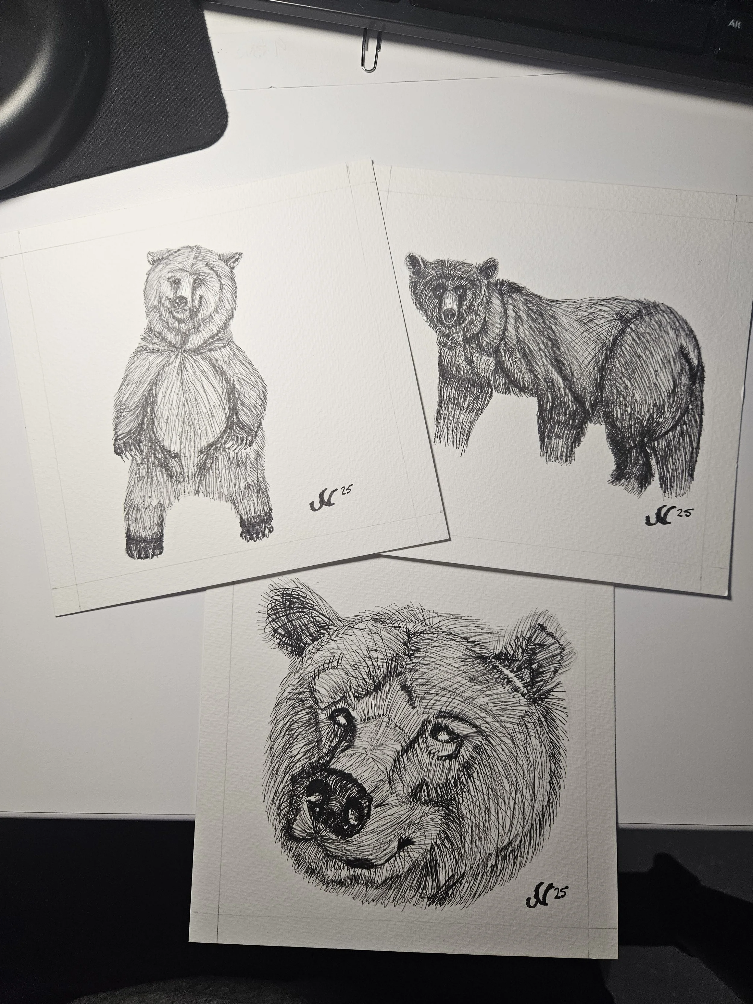 Bear Series