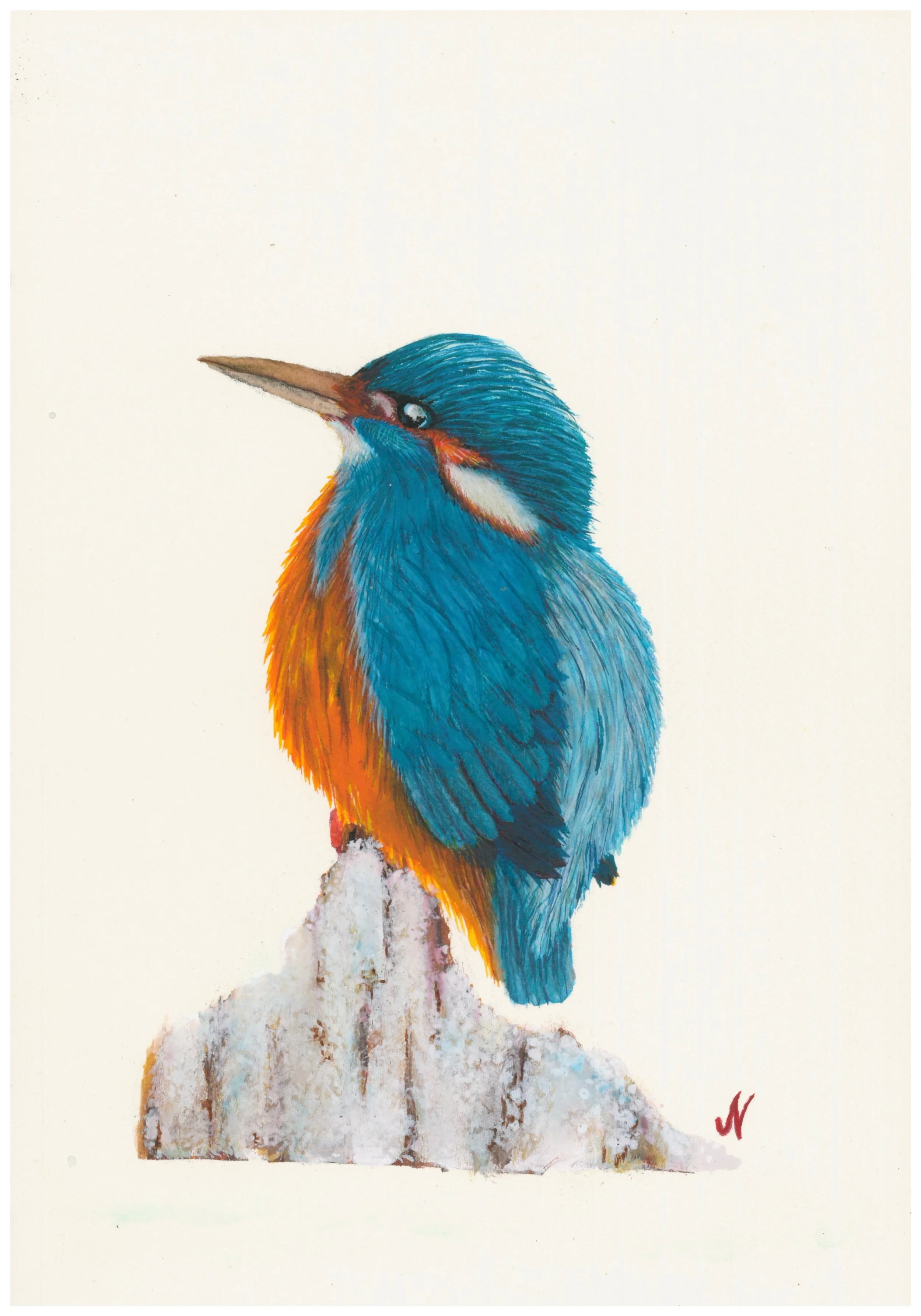 Vibrant Kingfisher Art Print
