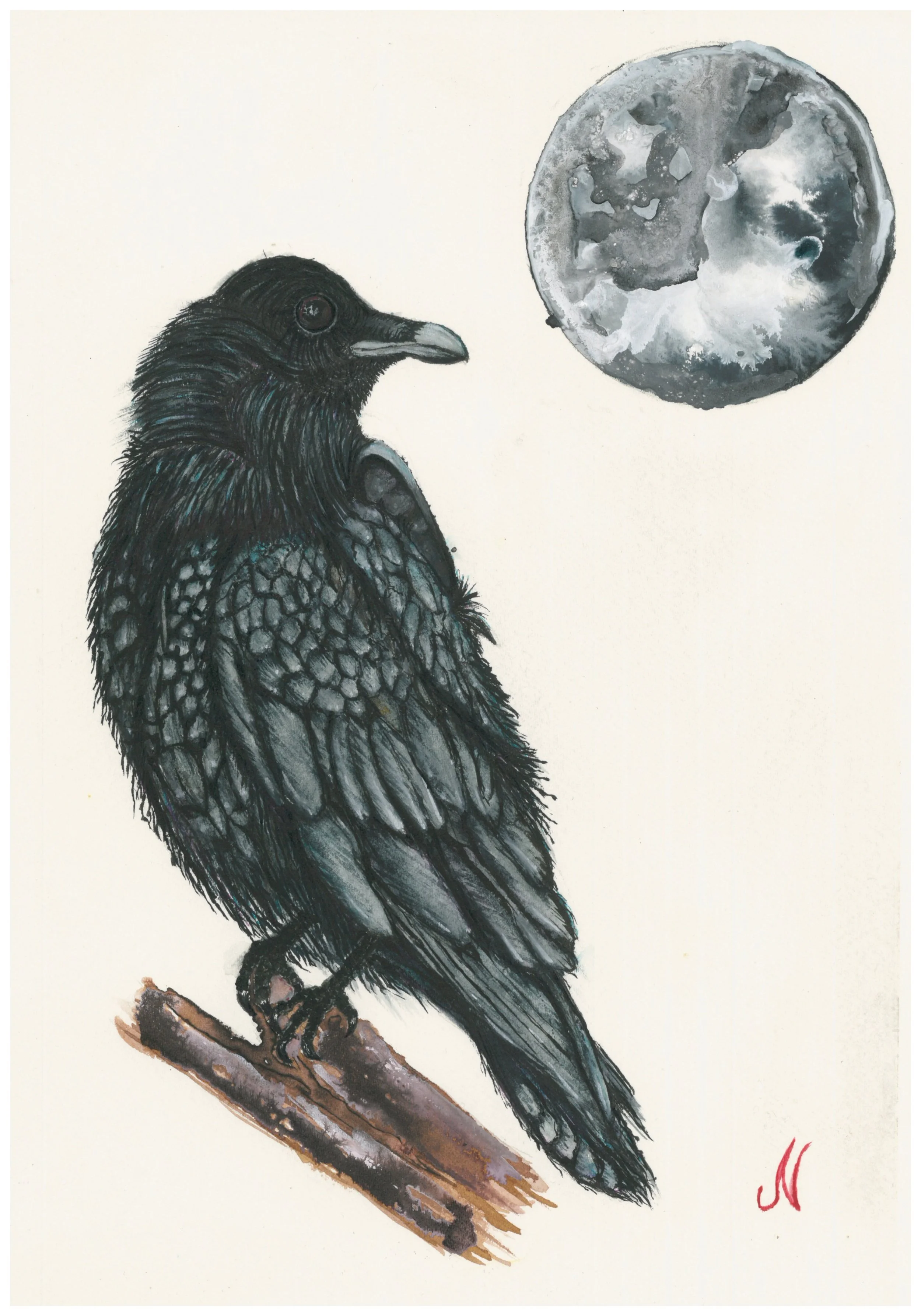 Moonlit Raven