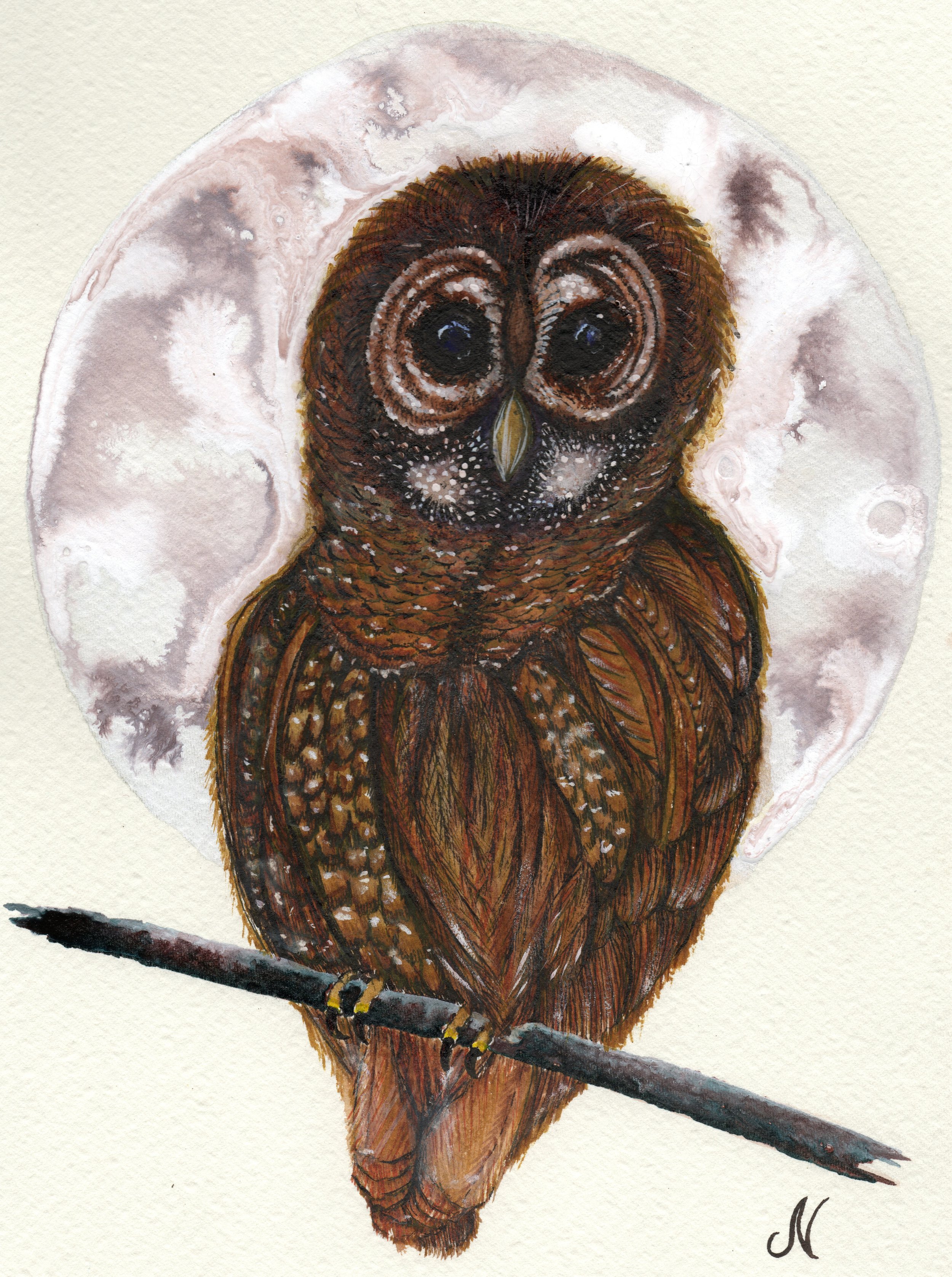 Hoot Did That Art Print