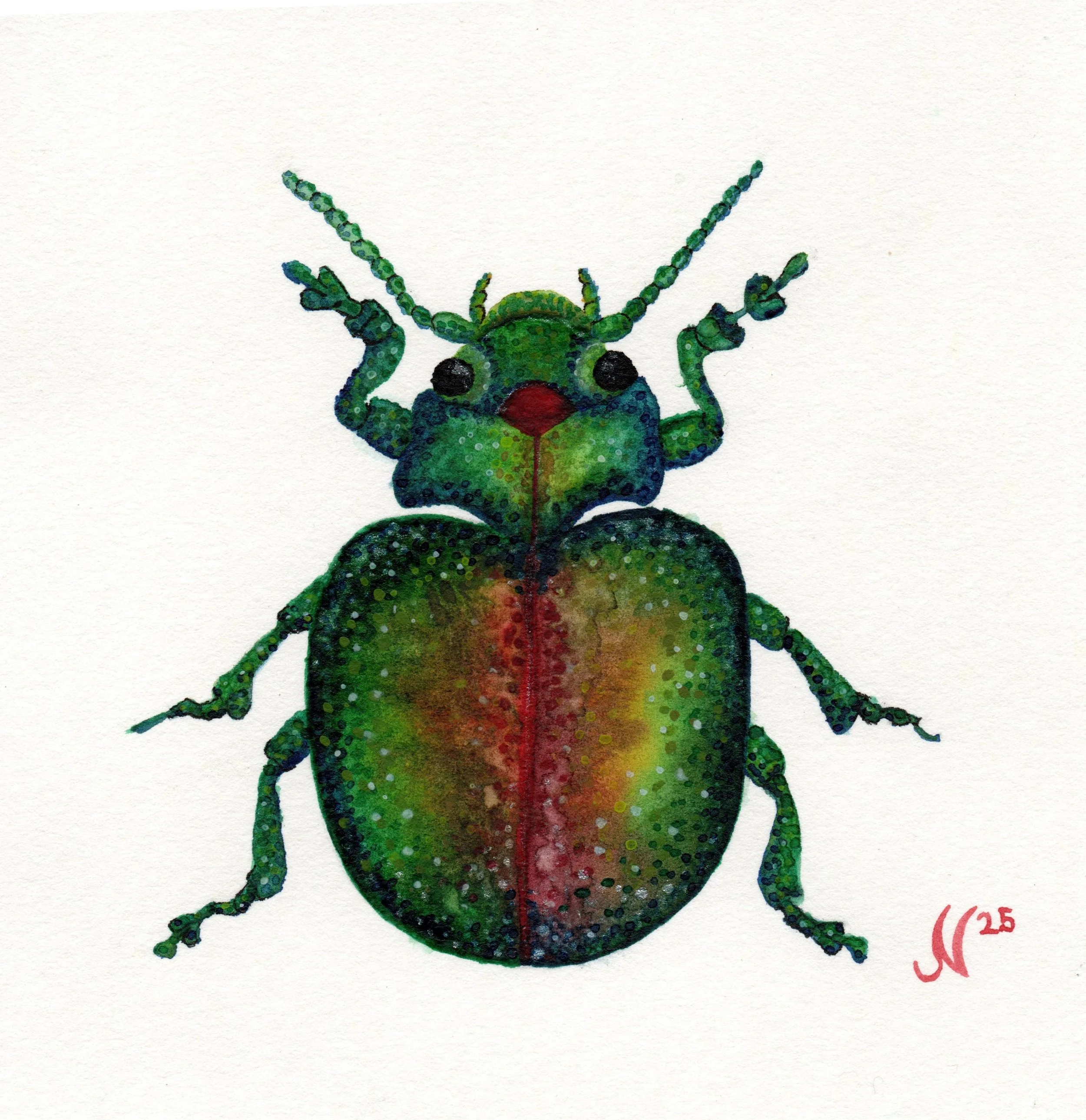 Insect 2024 - Beetle Series
Watercolor, 2024
6×6