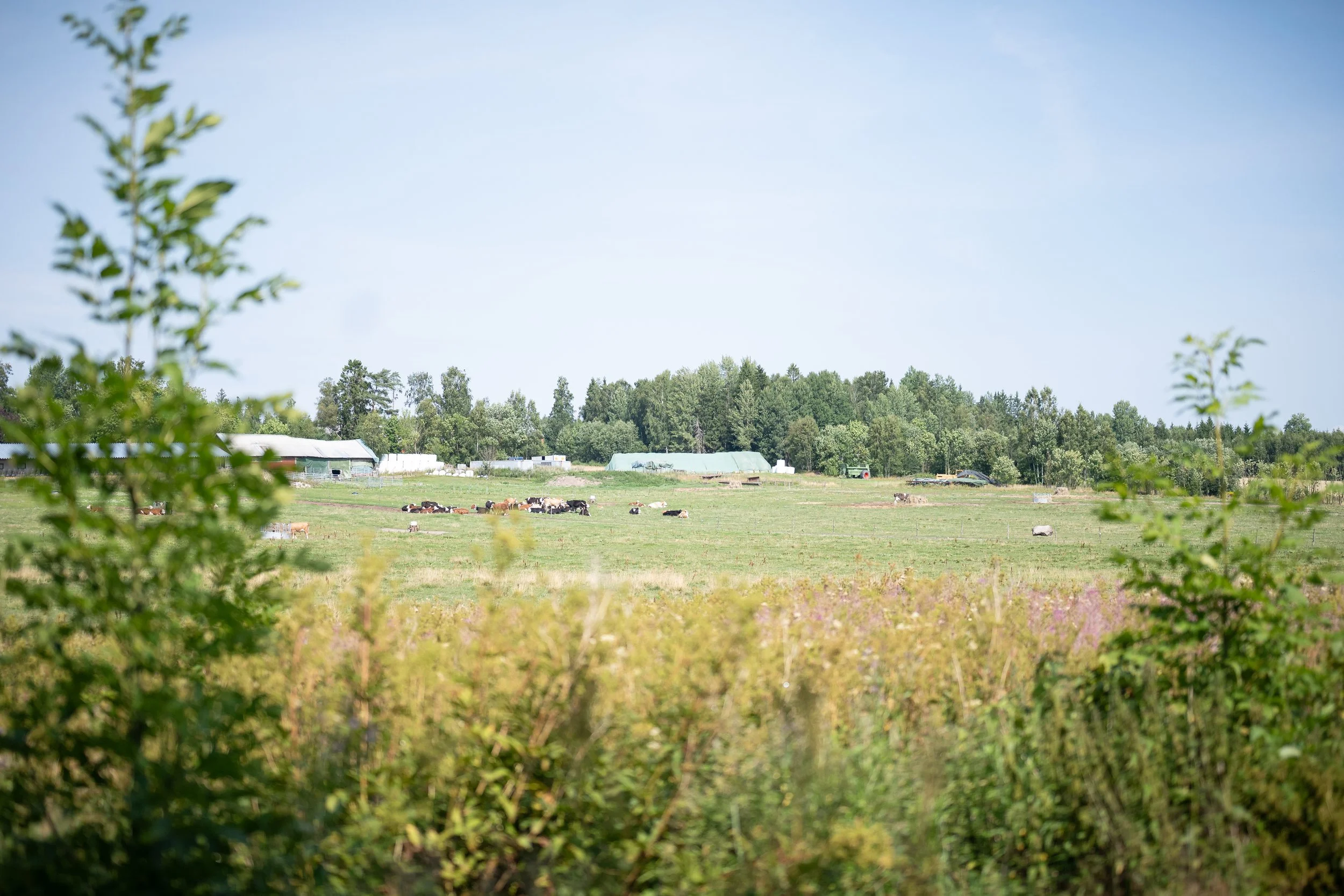 kvarnryd_nwt_300726_00023.jpg