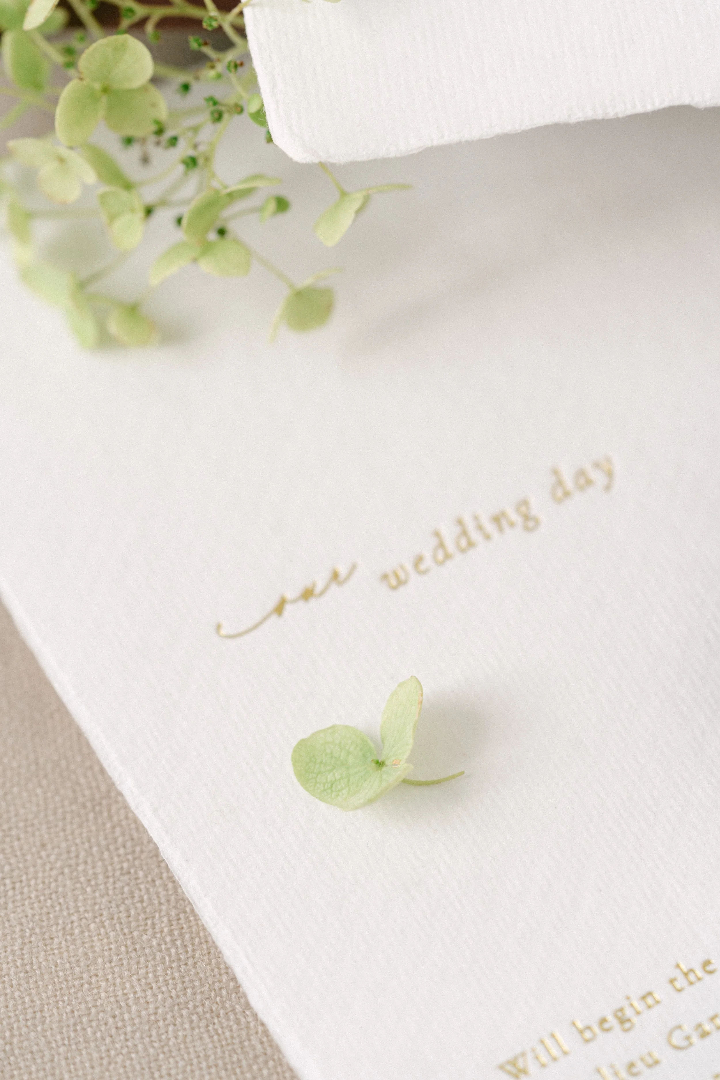 detail shot of handmade paper wedding invitation details card