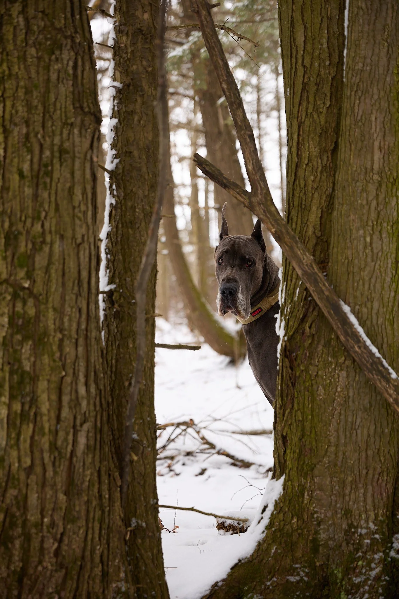 McNamara J Kyzer 23.jpg