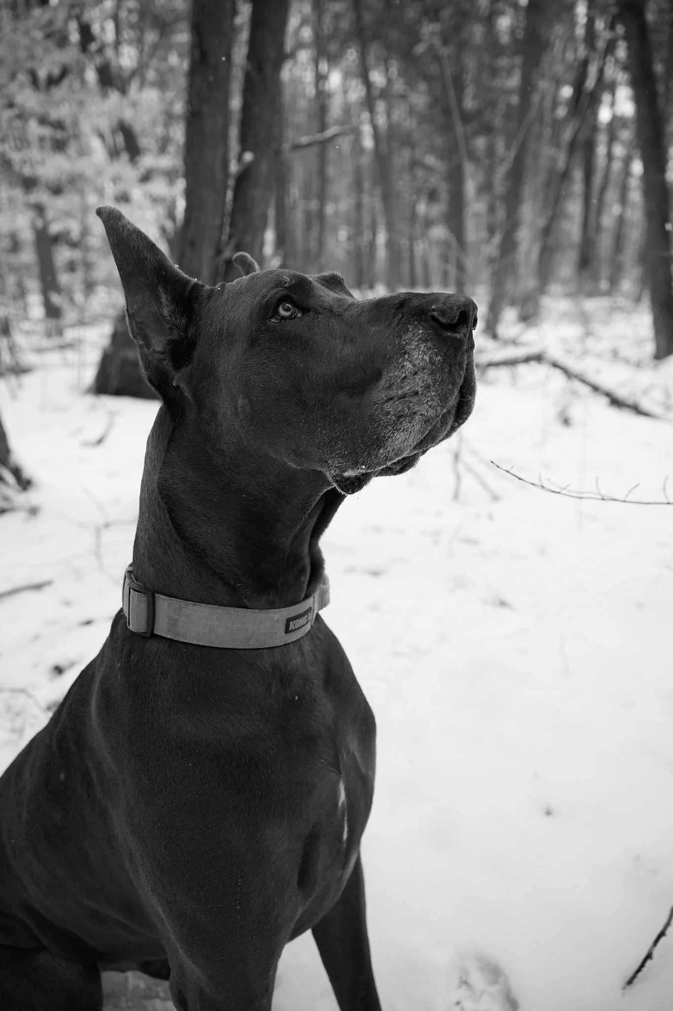 McNamara J Kyzer 20.jpg