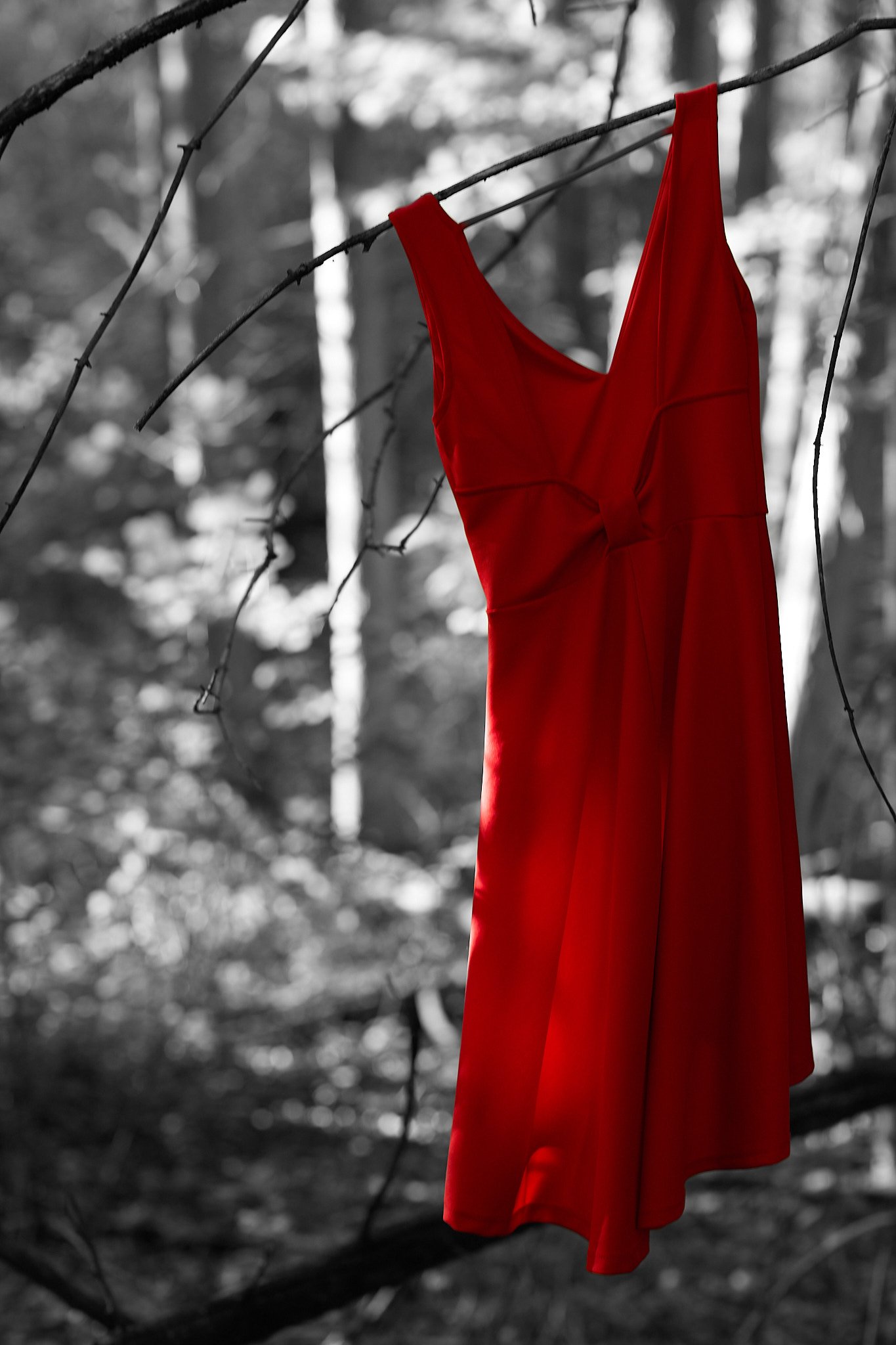 McNamara J Stolen Sisters 01 WEB USE.jpg