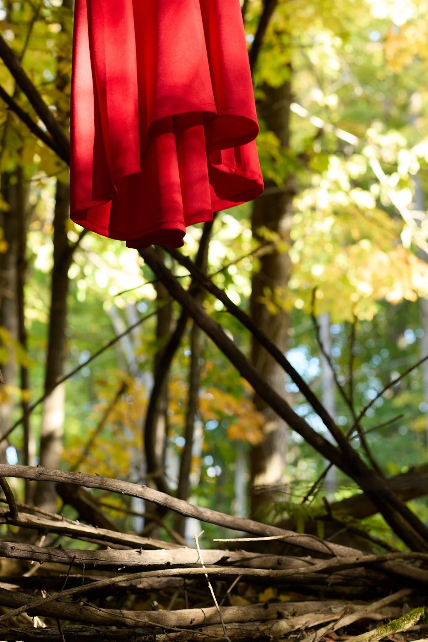 McNamara J Stolen Sisters 04 WEB USE.jpg