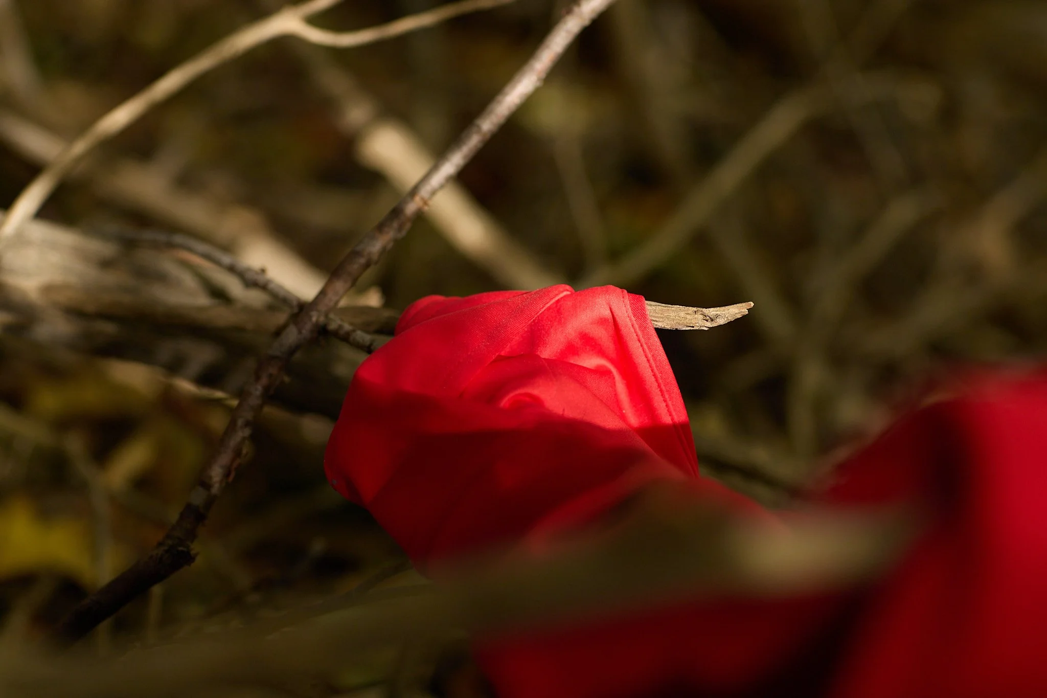 McNamara J Stolen Sisters 02 WEB USE.jpg