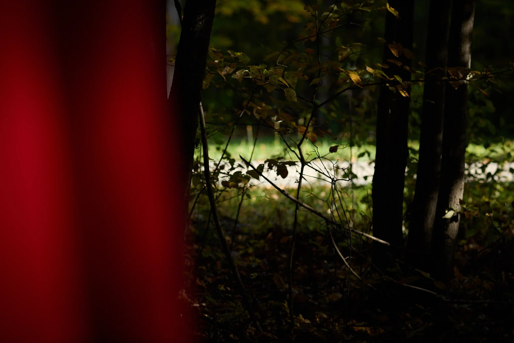 McNamara J Stolen Sisters 03 WEB USE.jpg