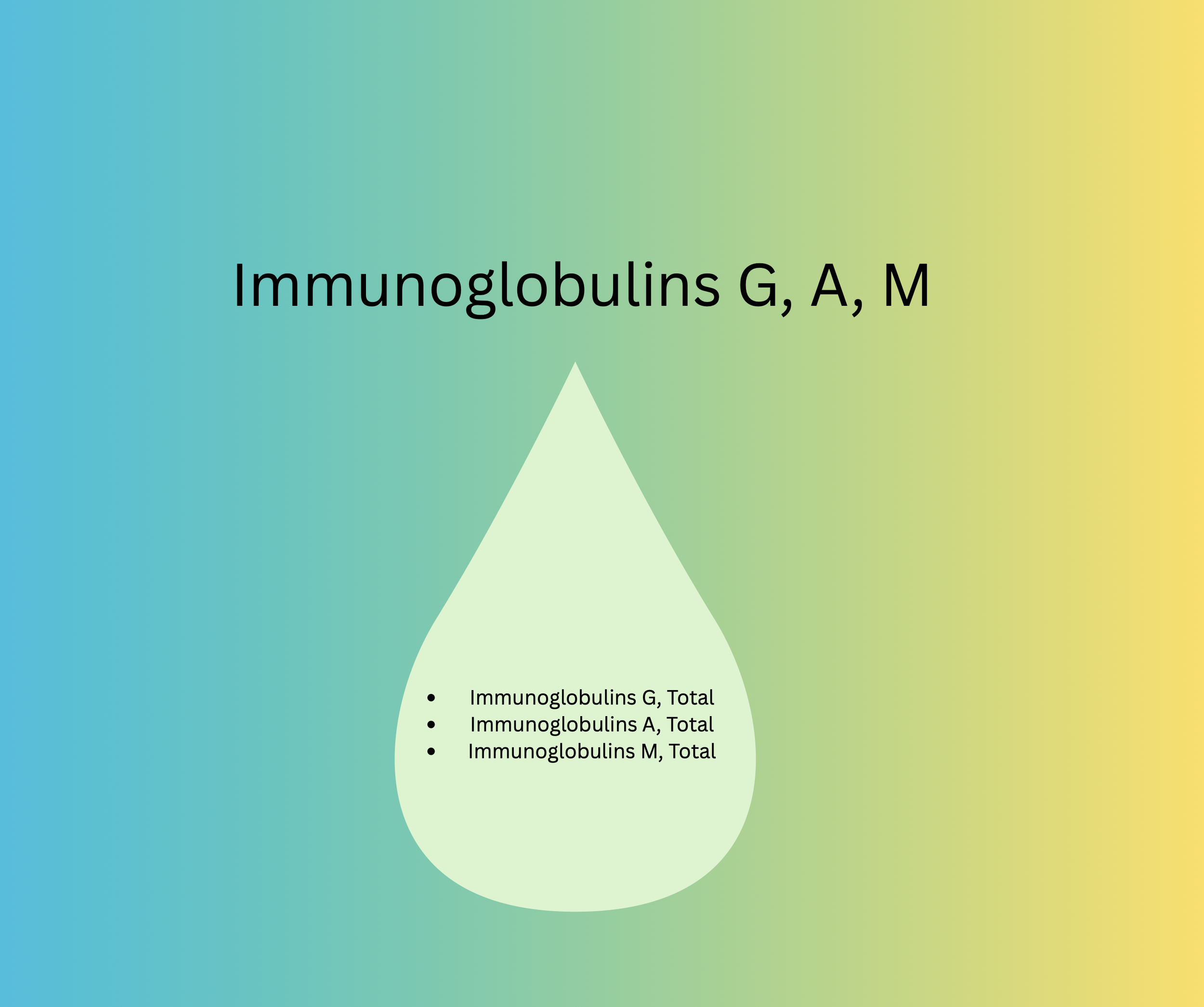 Immunoglobulins G, A, M