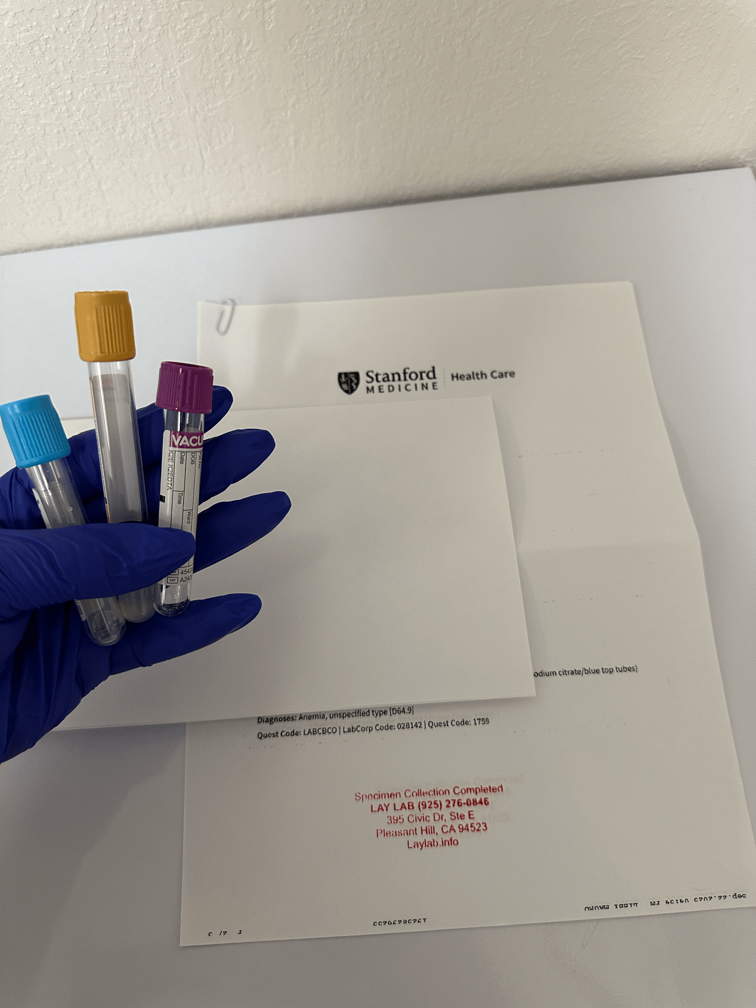 Private Hospital Labs